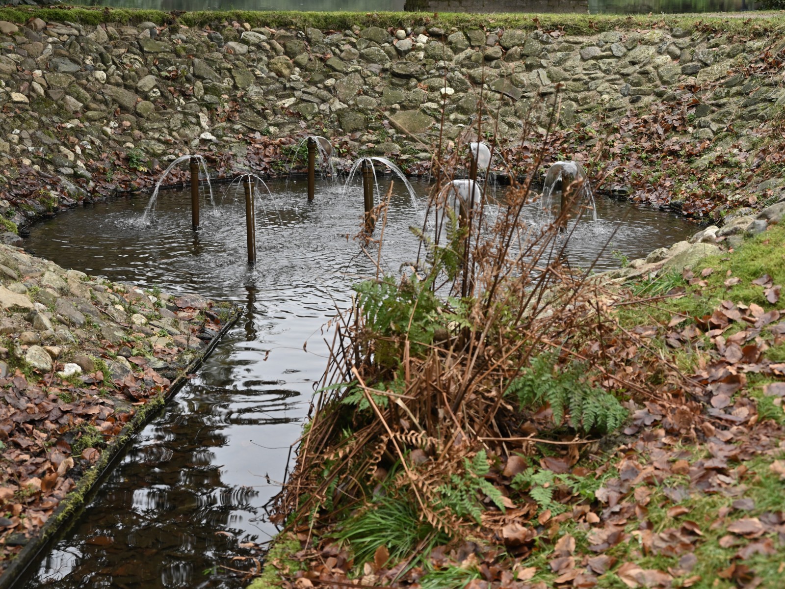 Ab van der Meij 2023 12 17dec Kroondomein HetLoo 4571