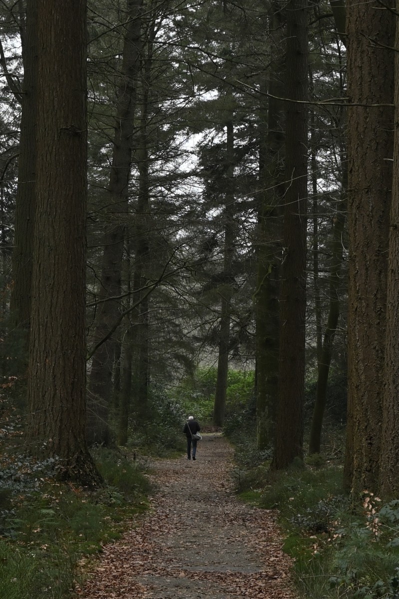 Ab van der Meij 2023 12 17dec Kroondomein HetLoo 4592 02