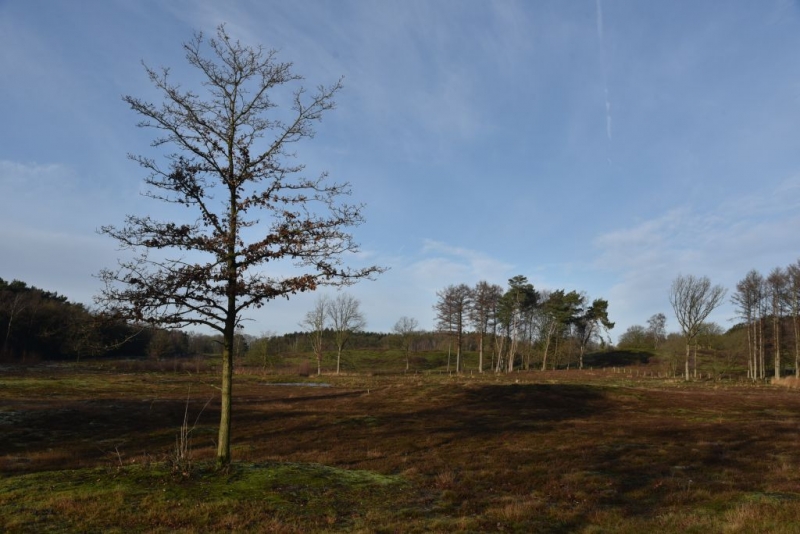 DSC 0170 HatertseVennen003a