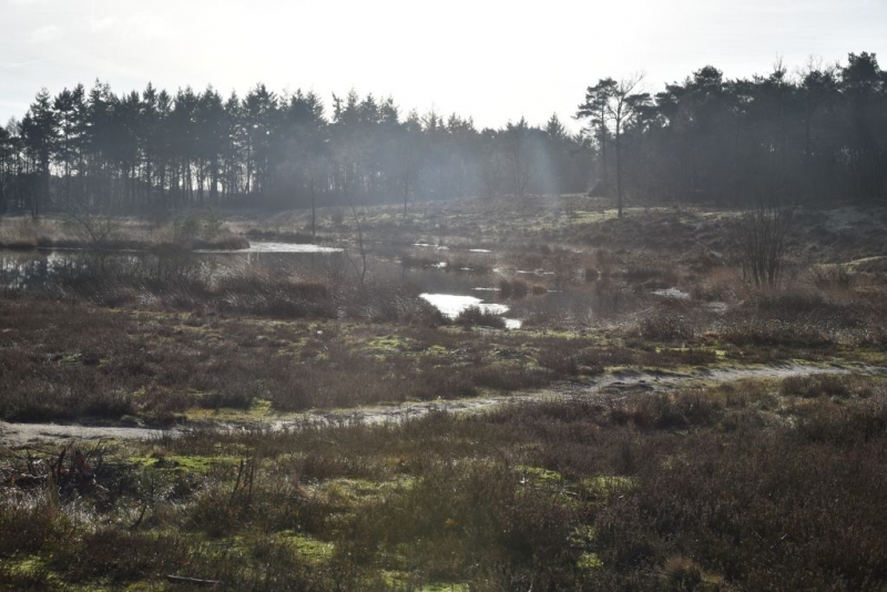 DSC 0175 HatertseVennen004a