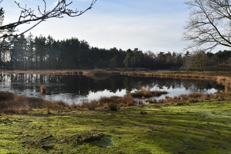 DSC 0184 HatertseVennen010a