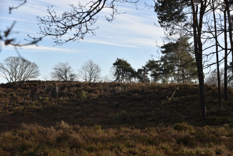 DSC 0186 HatertseVennen011a