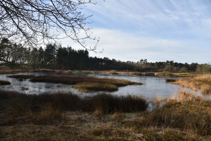 DSC 0188 HatertseVennen013a