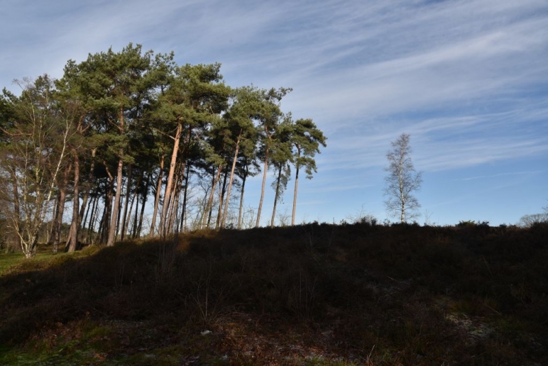 DSC 0193 HatertseVennen014a