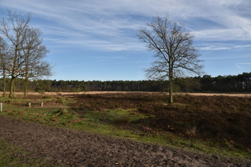 DSC 0199 HatertseVennen015a