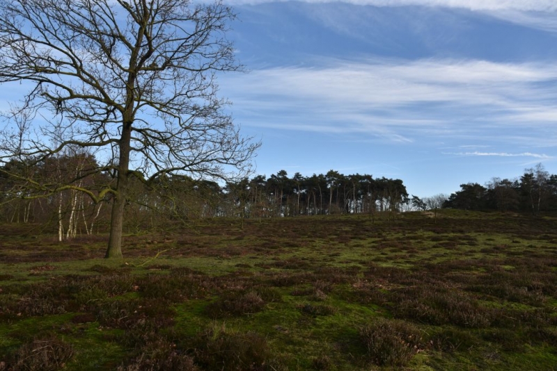 DSC 0207 HatertseVennen016a