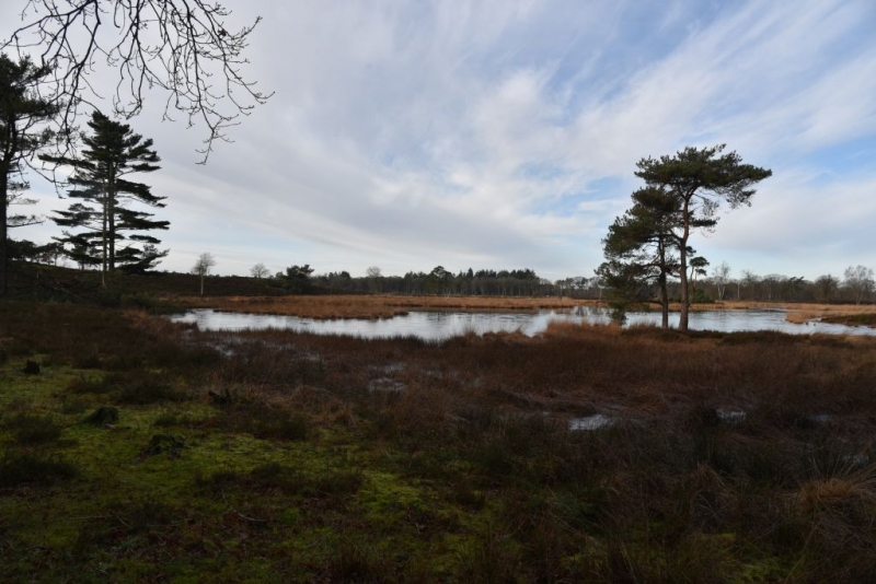 DSC 0210 HatertseVennen018a