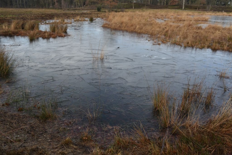 DSC 0216 HatertseVennen020a