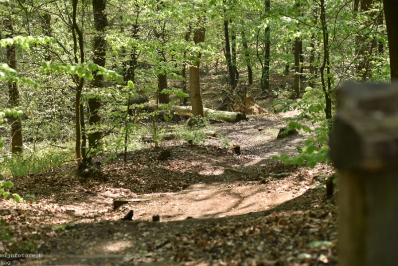 DSC 1236 ElyzeeseVelden Nijmegen 006
