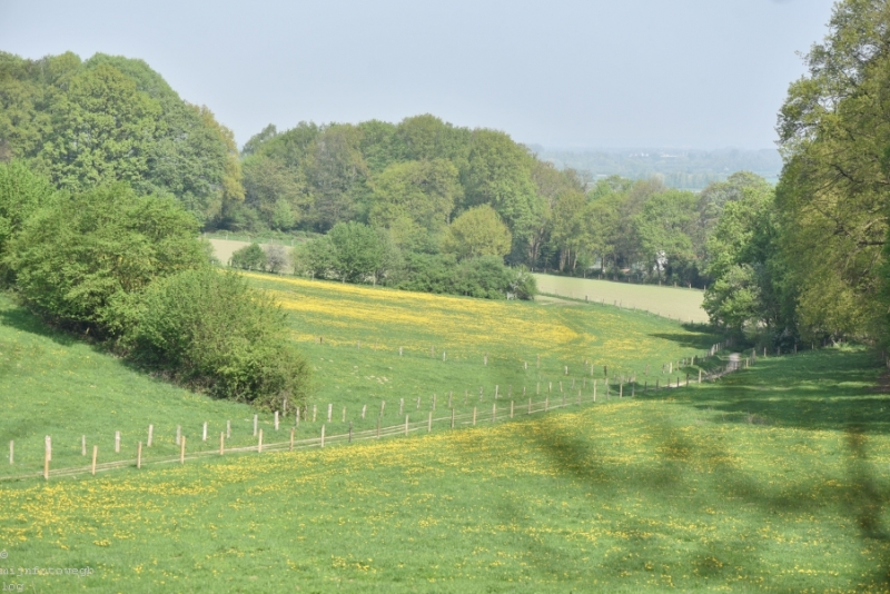 DSC 1265 ElyzeeseVelden Nijmegen 012