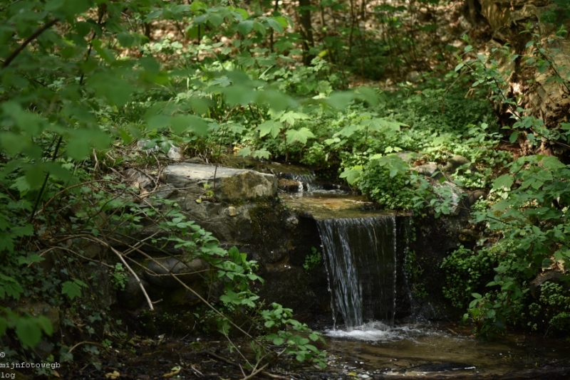 DSC 1277 ElyzeeseVelden Nijmegen 015