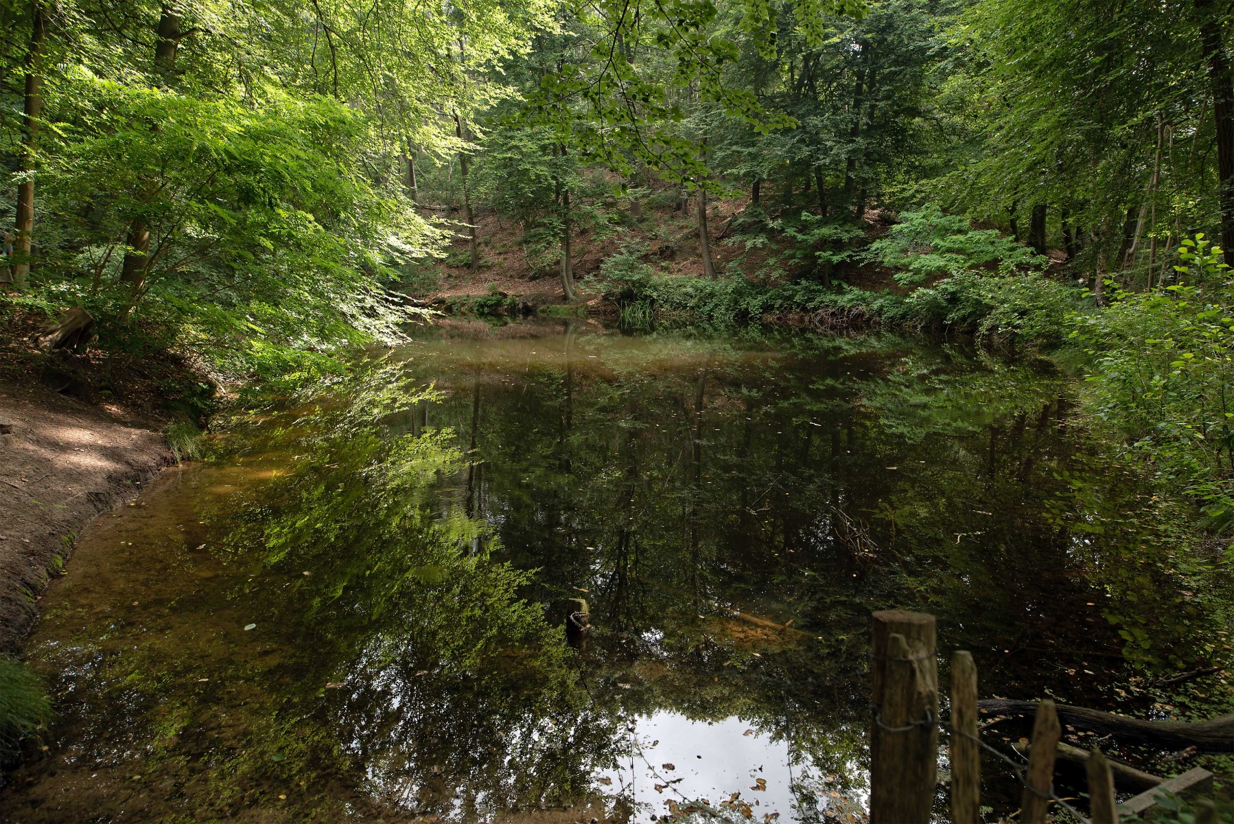 DSC 7182 gew01L02a crop