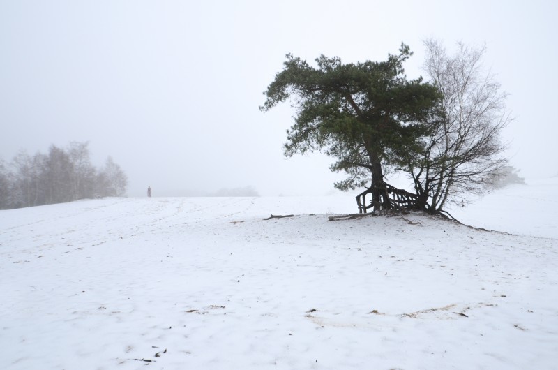 DSC 1185 kopi C3 ABren