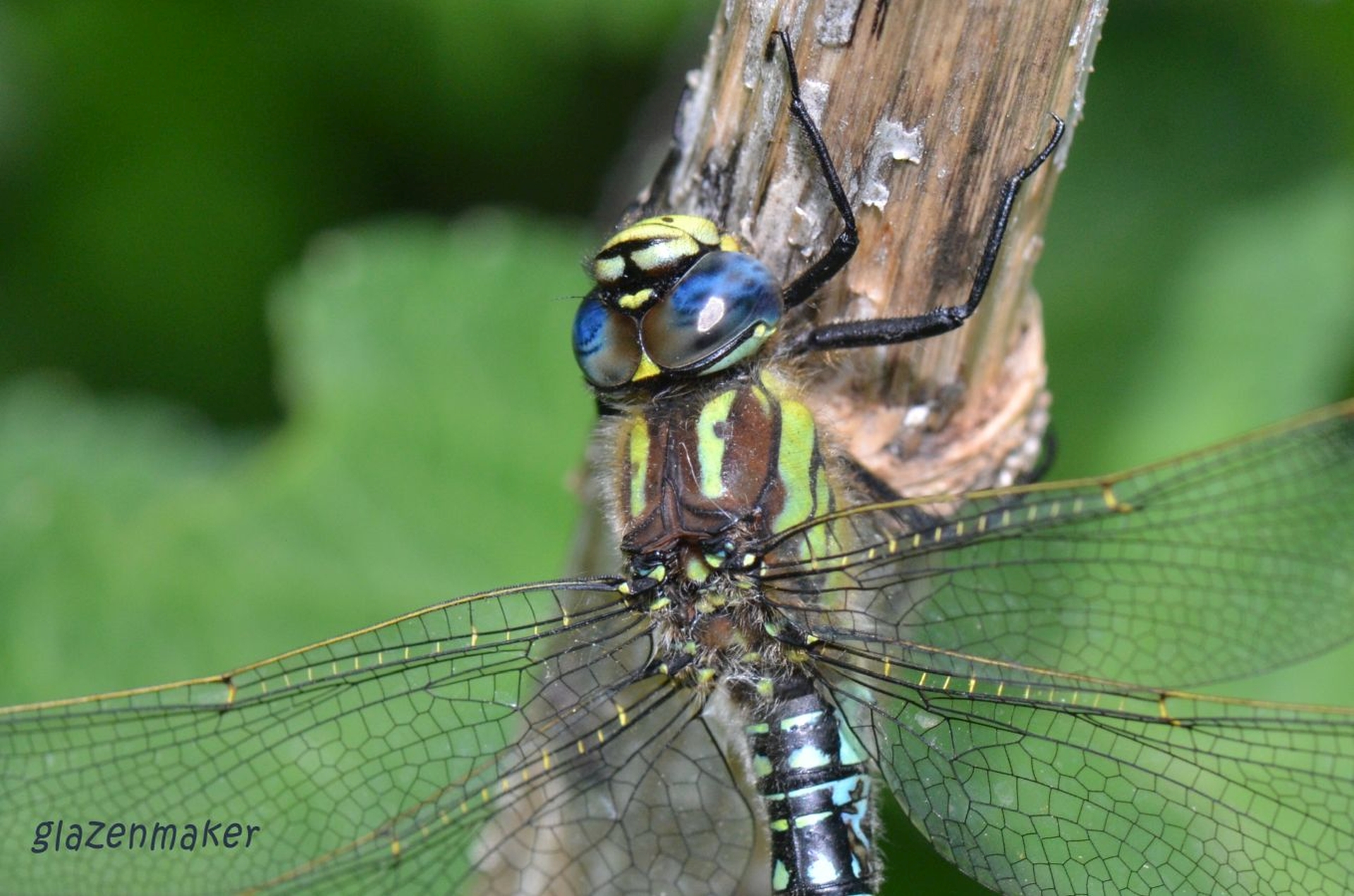 DSC 5549 kopi C3 ABren 3