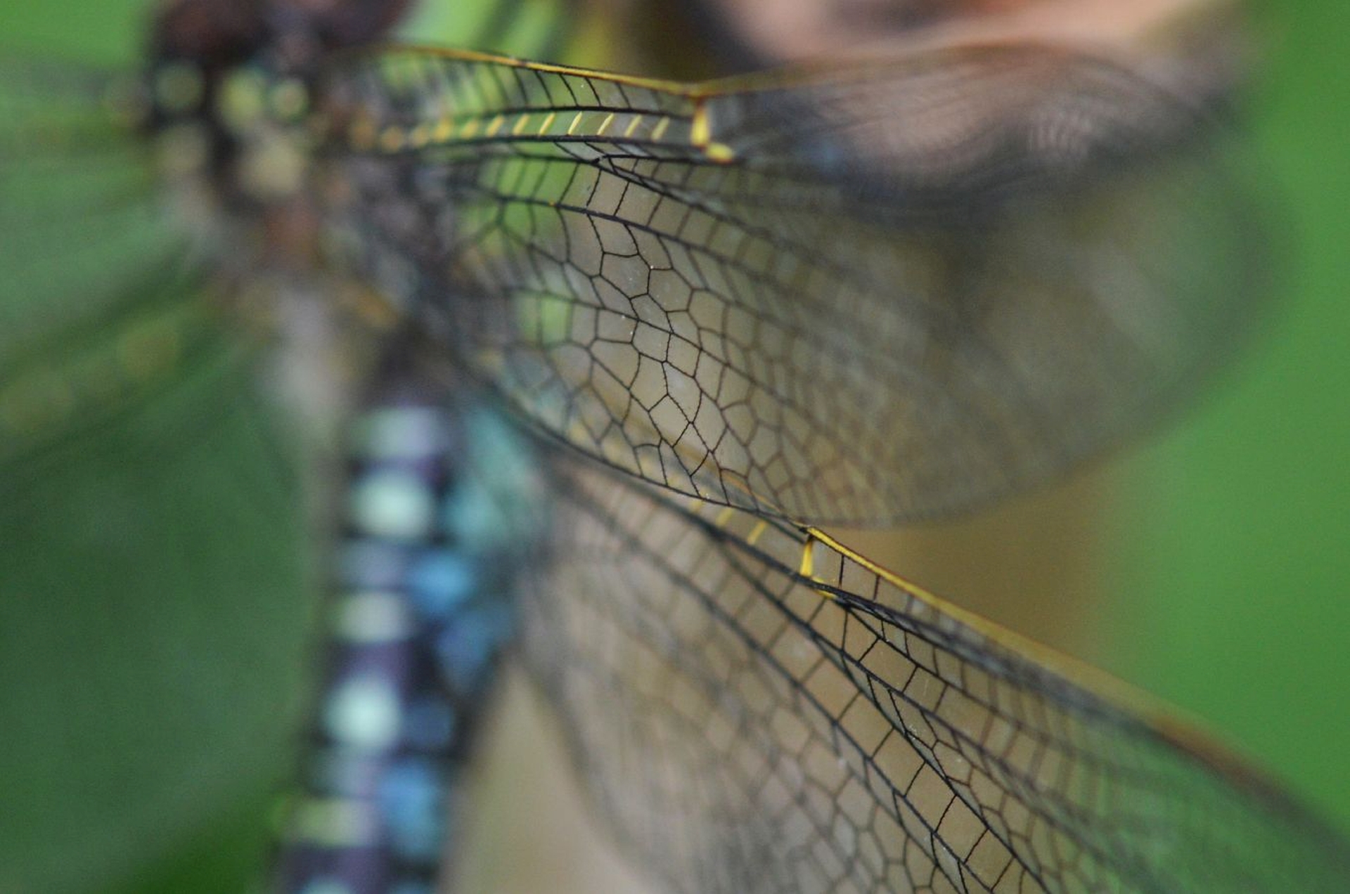 DSC 5578 kopi C3 ABren