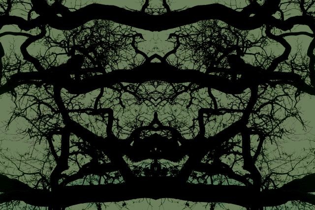 DSC 6020 kopi C3 ABren 3