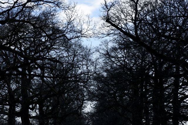 DSC 6021 kopi C3 ABren