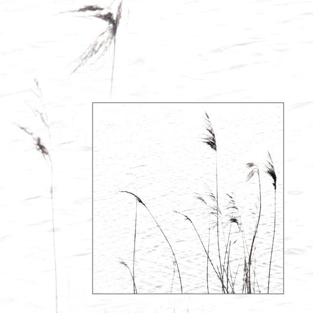 DSC 6023 kopi C3 ABren 2