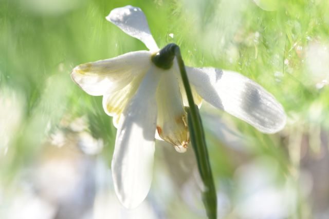 DSC 6040 kopi C3 ABren