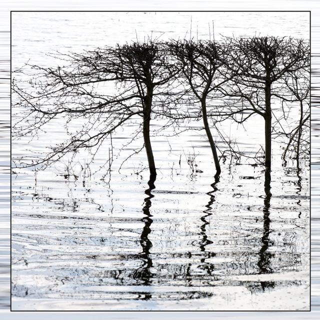 DSC 6300 kopi C3 ABren 4 4003x