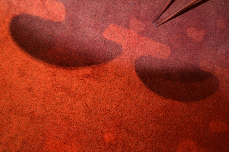 DSC 8110 kopi C3 ABren