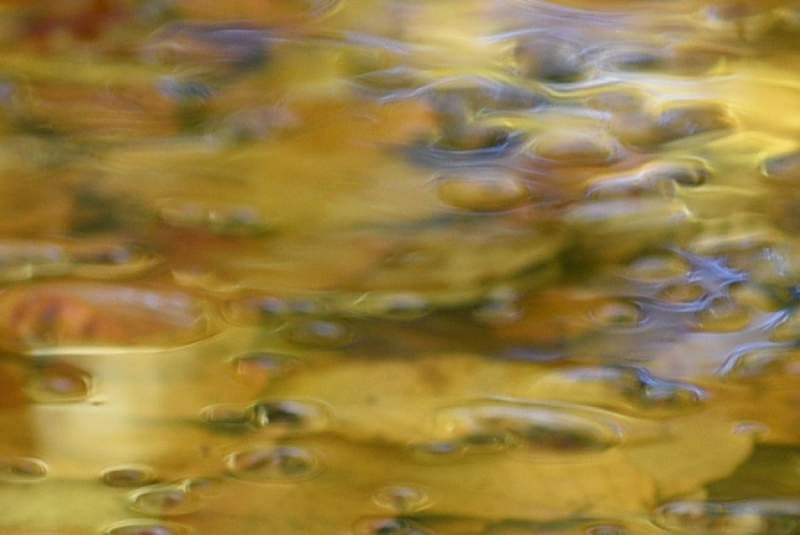 DSC 8477 kopi C3 ABren