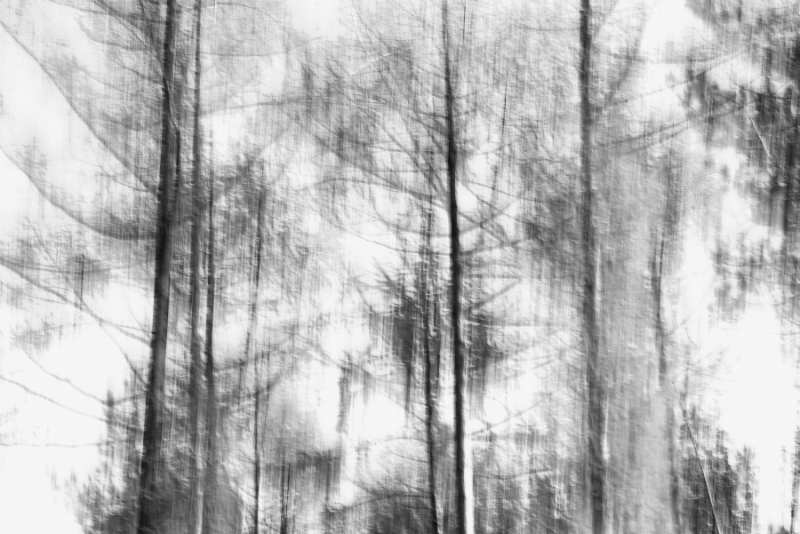 DSC 8539 kopi C3 ABren 2