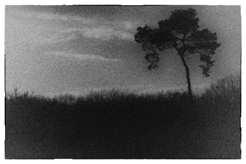 DSC 8572 kopi C3 ABren 4