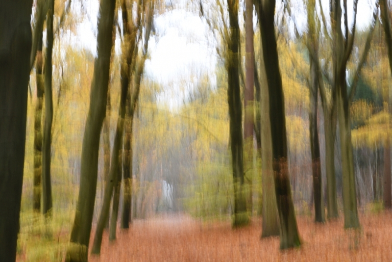 DSC 8716 kopi C3 ABren