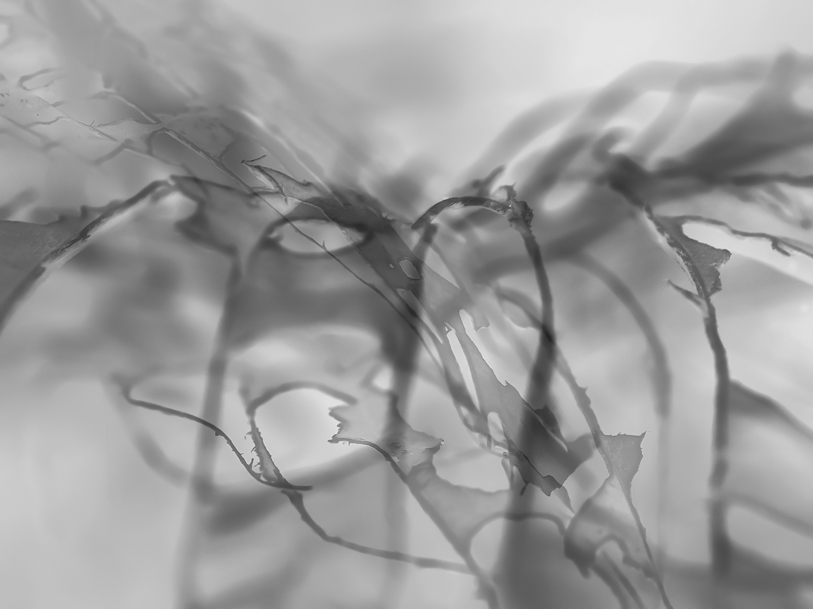 Naamloos 2 kopieren 3