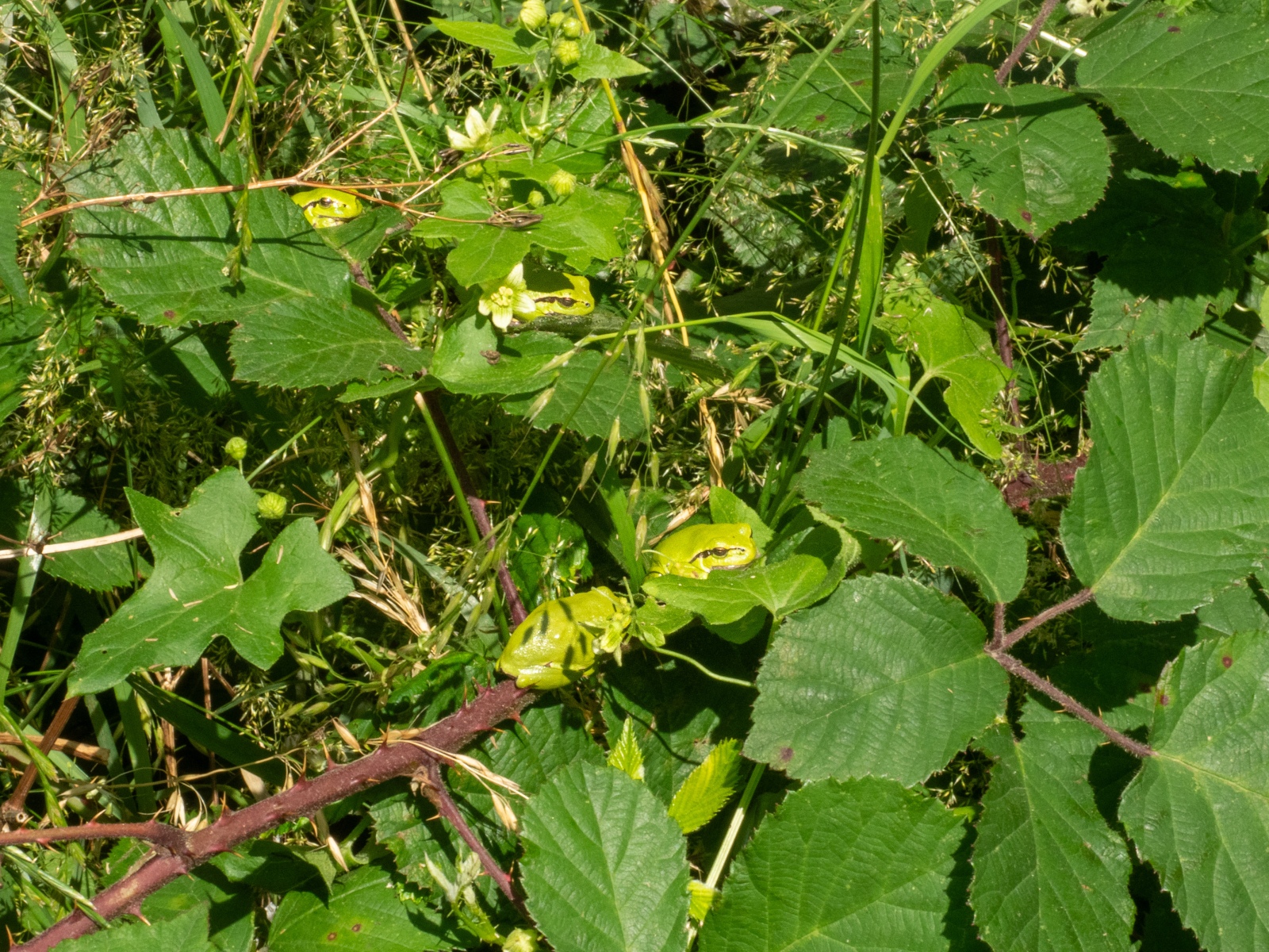 17F7BCDB D1F3 4967 8F76 B27607B68B58