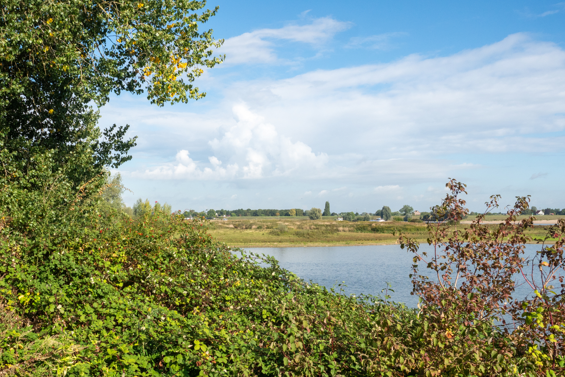 19E49AB9 470C 45F6 A080 E0C1622E3793