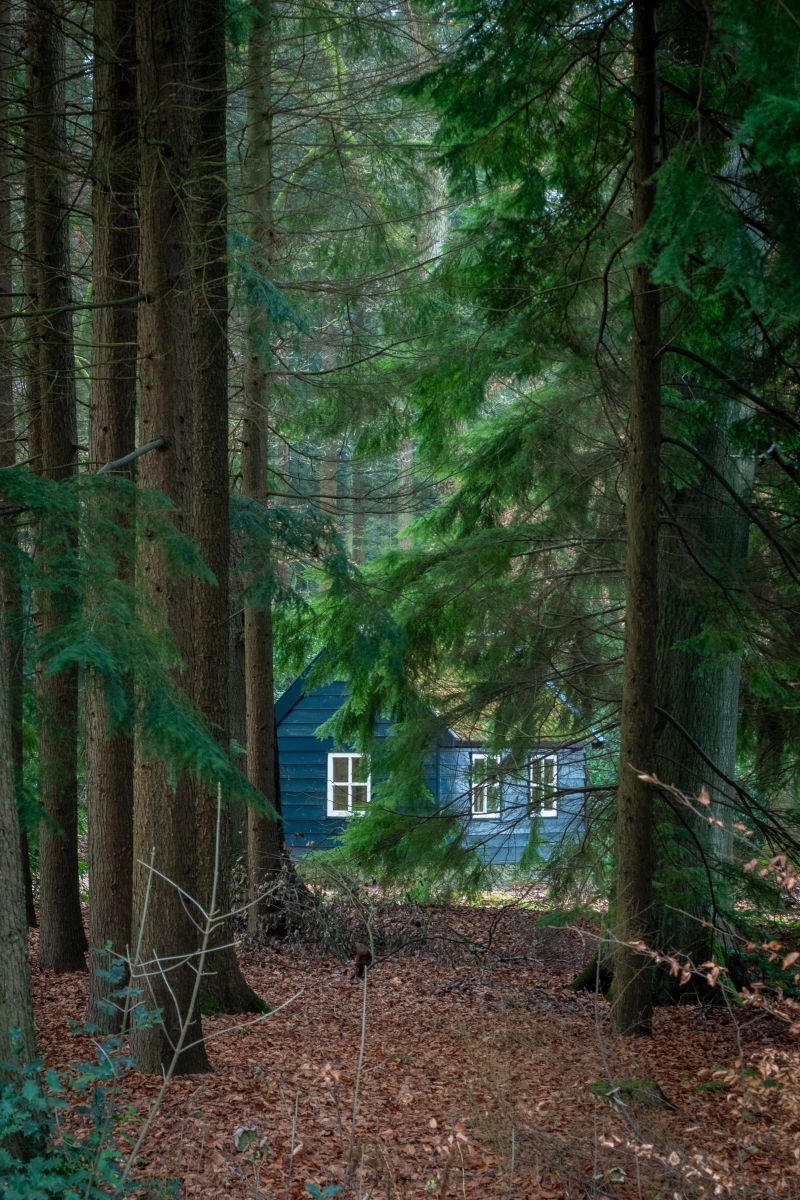 1 9AD1827C 99BC 4711 B11D C37121B89028