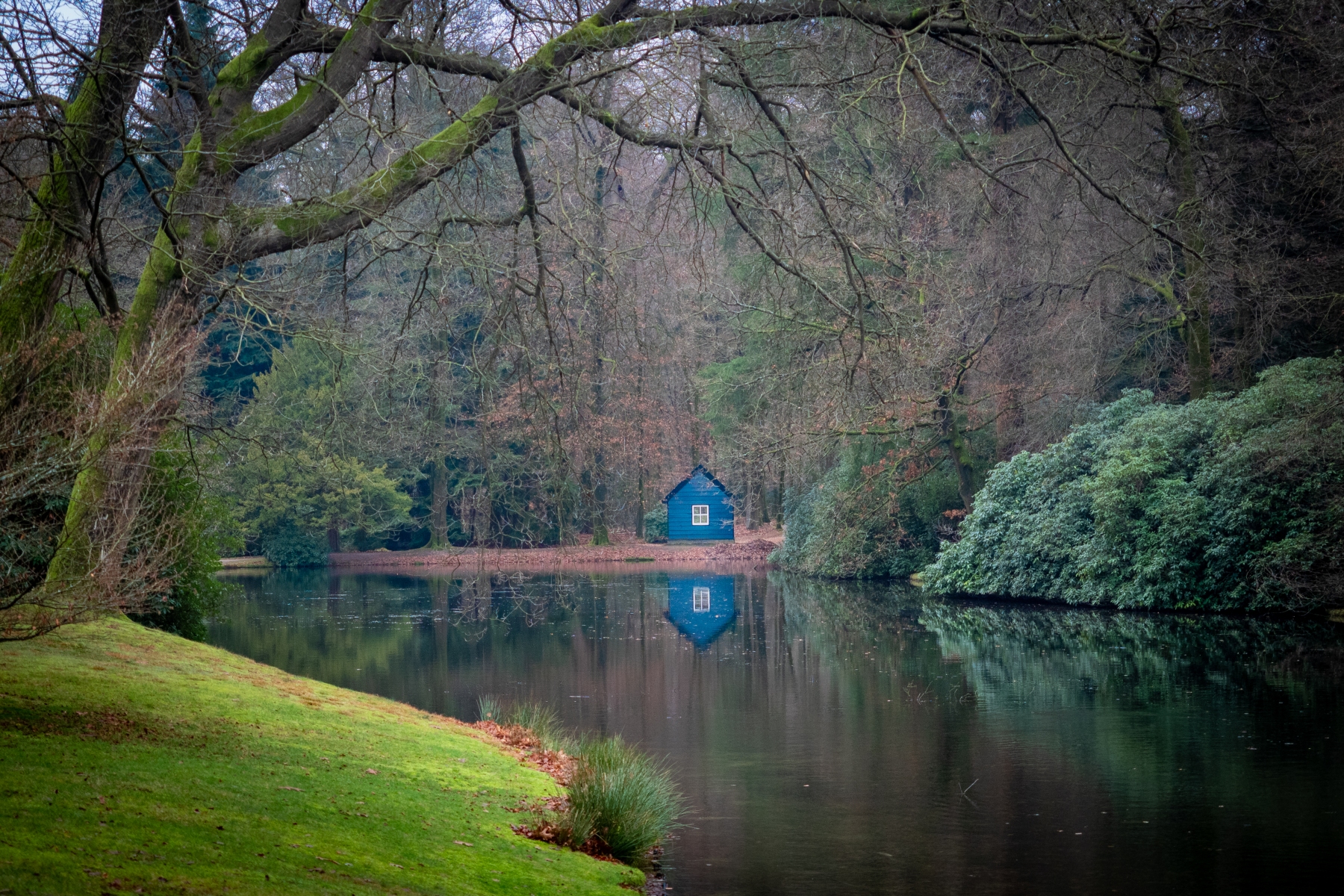 1 AE521966 7461 4A39 AD99 D860B8810B64