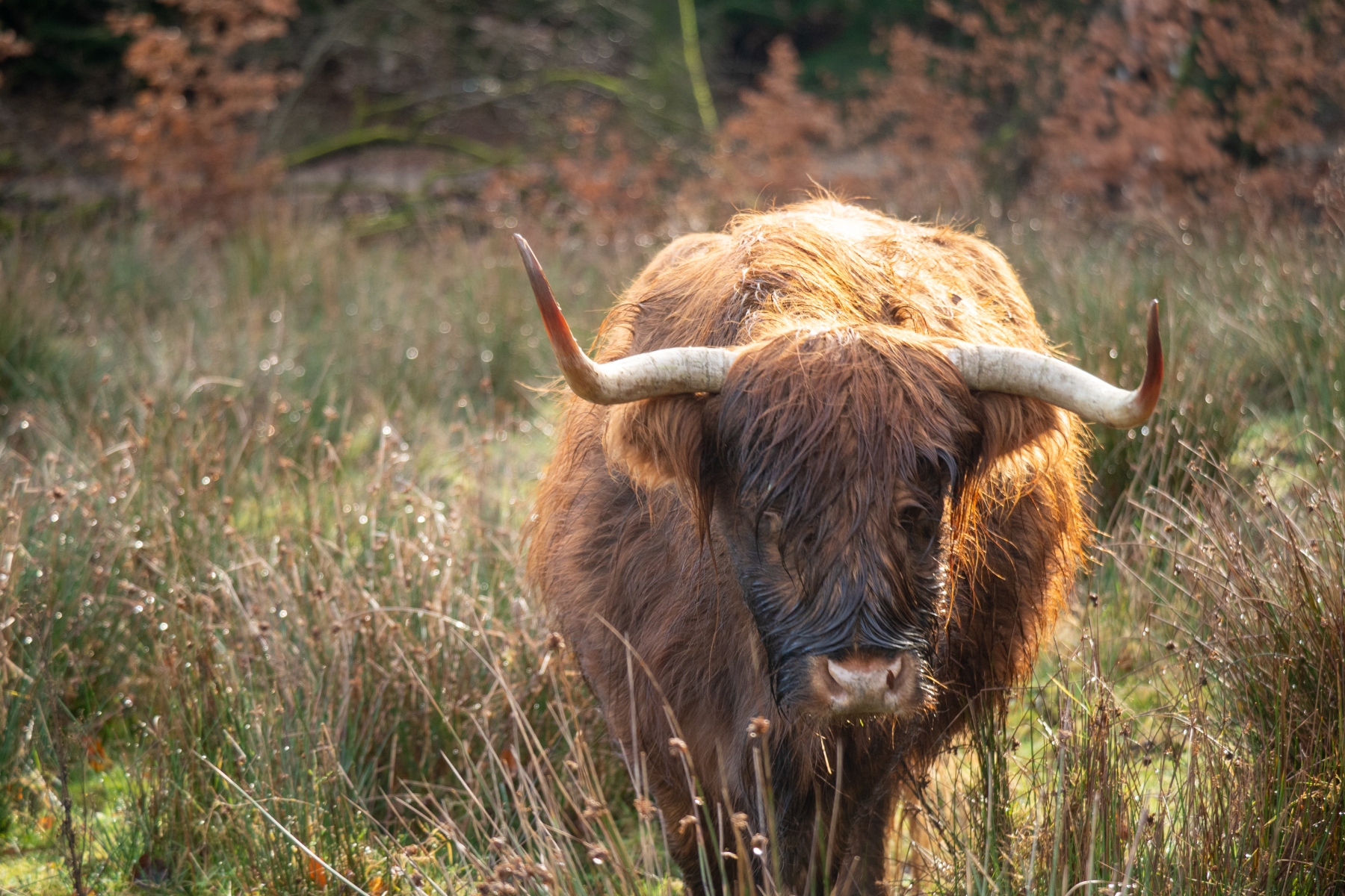 2A308A9B 45B3 463C 9721 559FB1778920