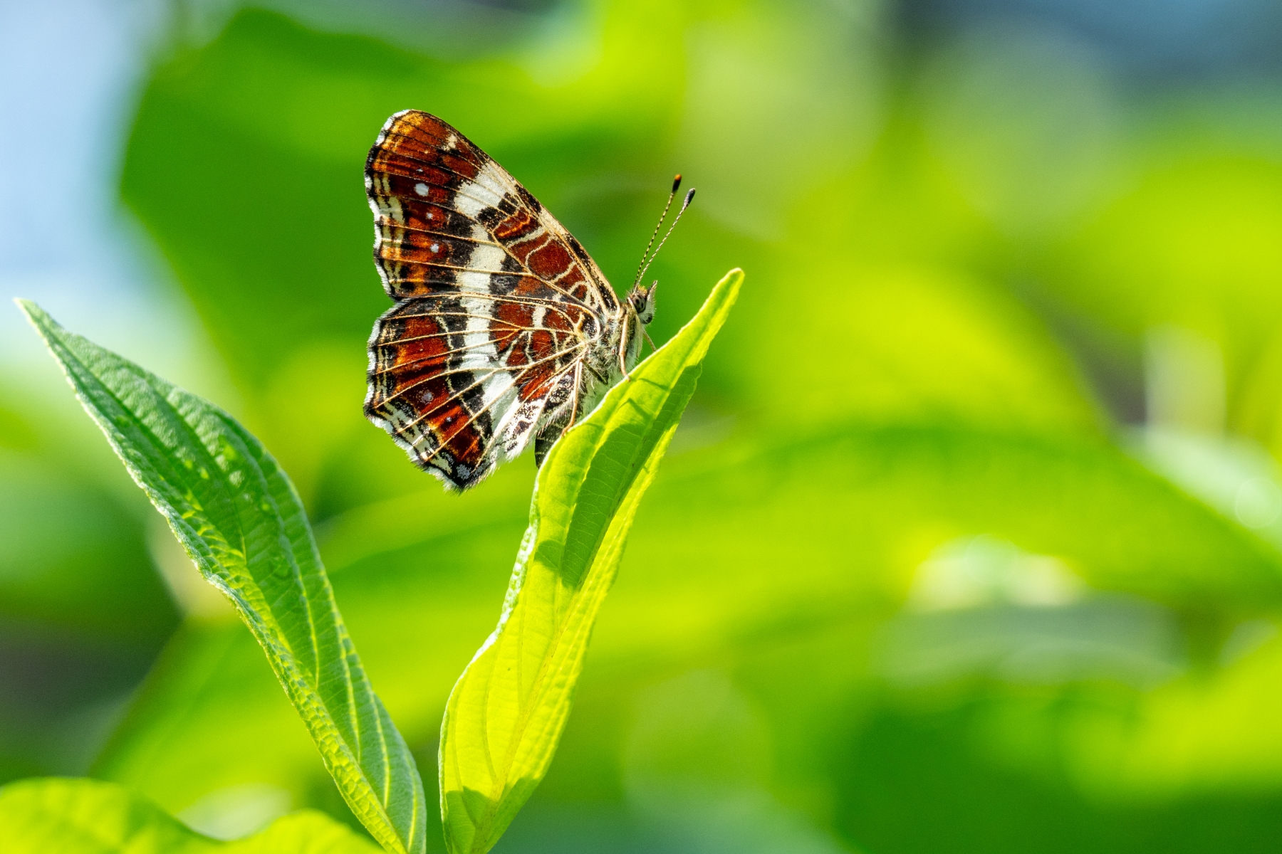 30179D2A 1615 4C3D 836E 0BDB1D2468EE