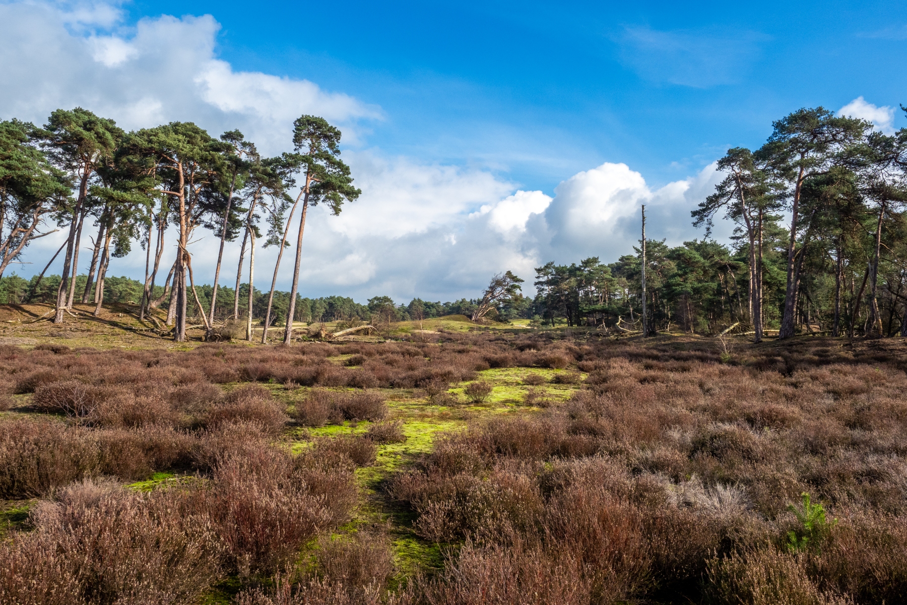 36D648FE 62B9 4F7E AC1C A29354C4175C