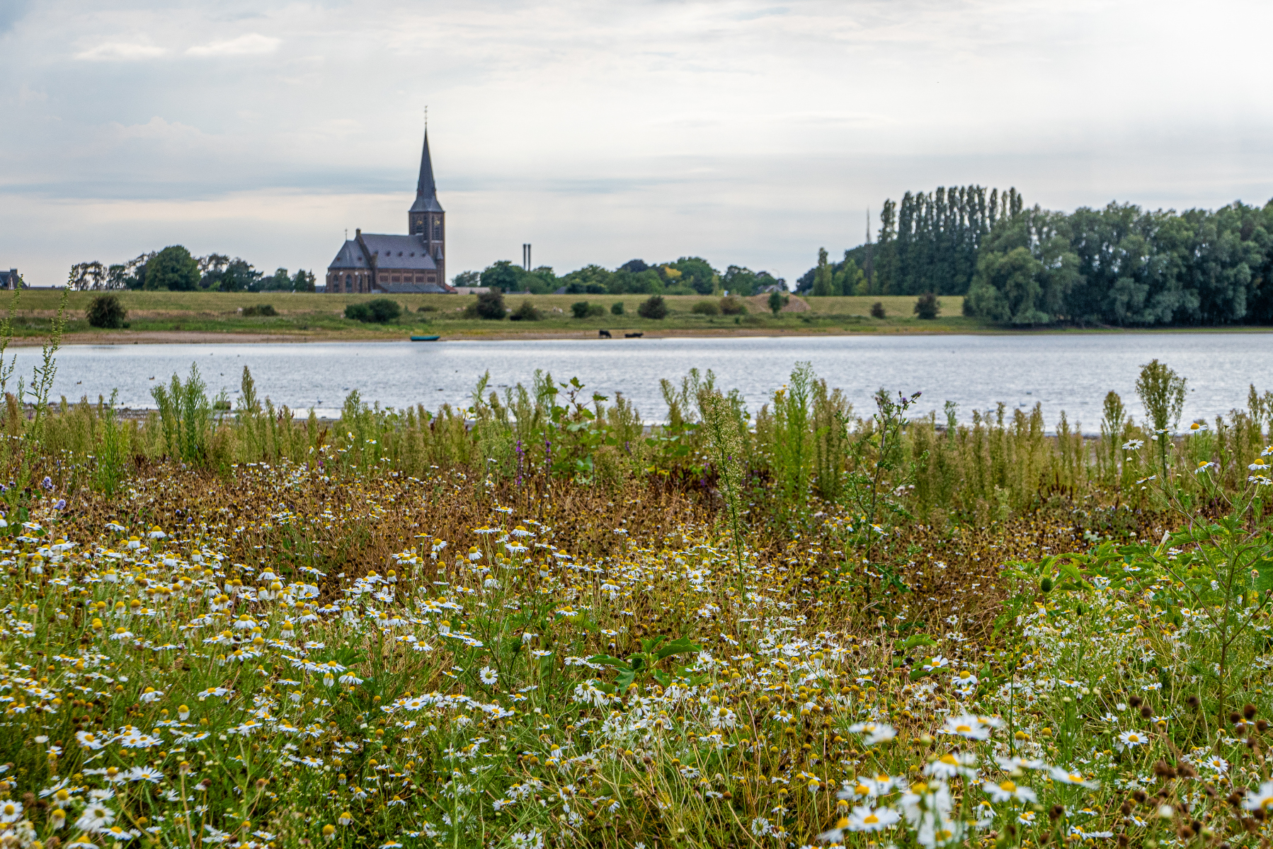 3AE445C1 44C6 4507 BEF0 88D49A6944BE