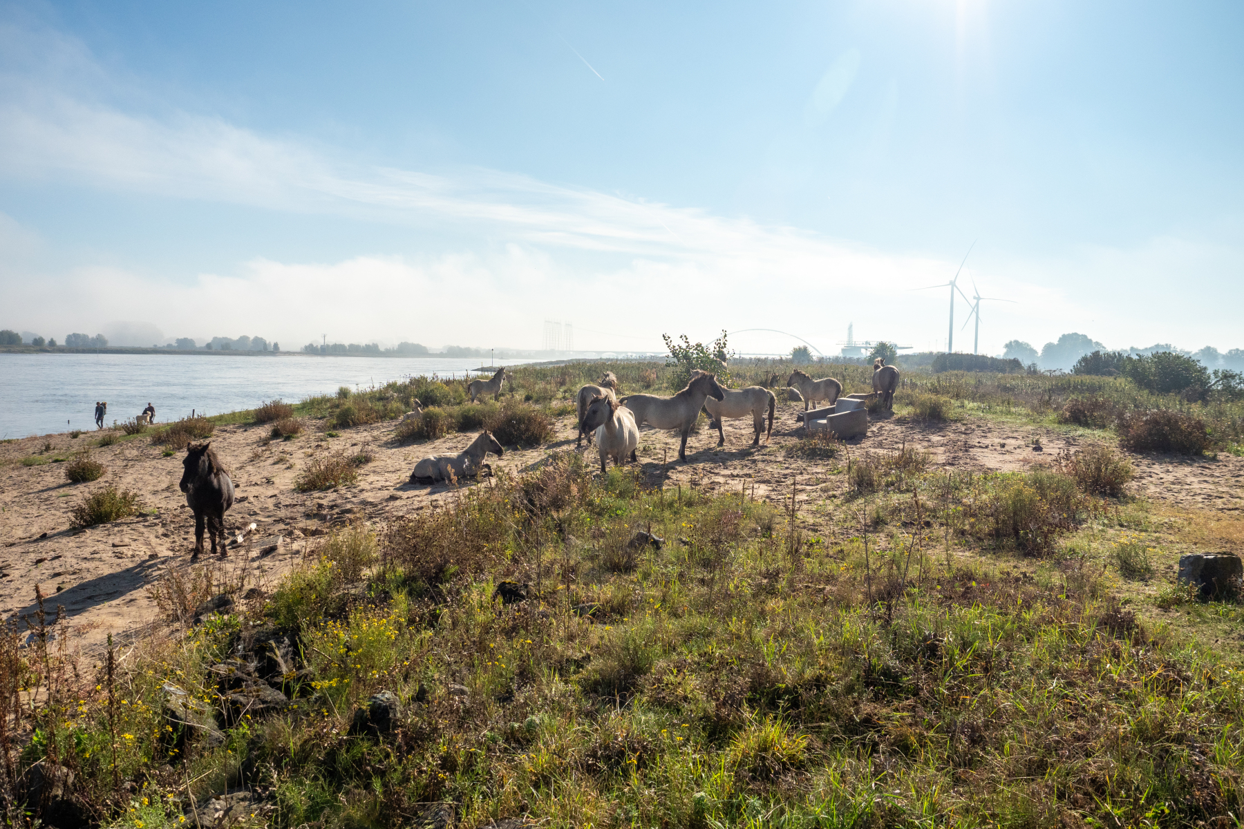 3BF44862 D280 408C 92EB 69288F43DDD8