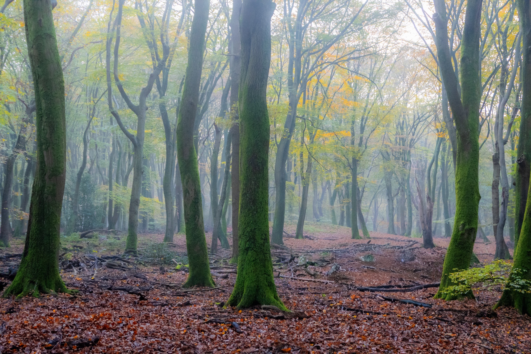 87189253 F29B 4B87 8F87 58ECAD76A5CA