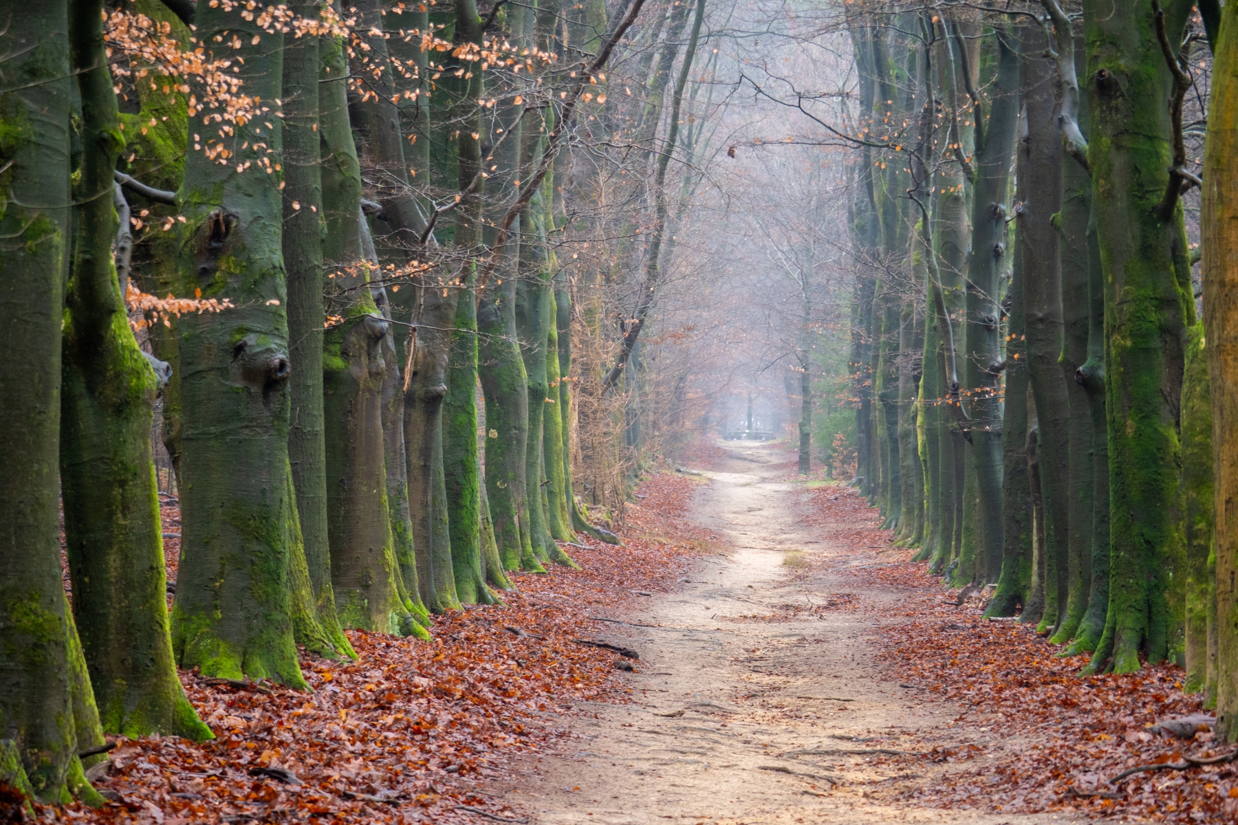 87EEBAEB 7DAC 49D6 90BD 40CA452B18E3