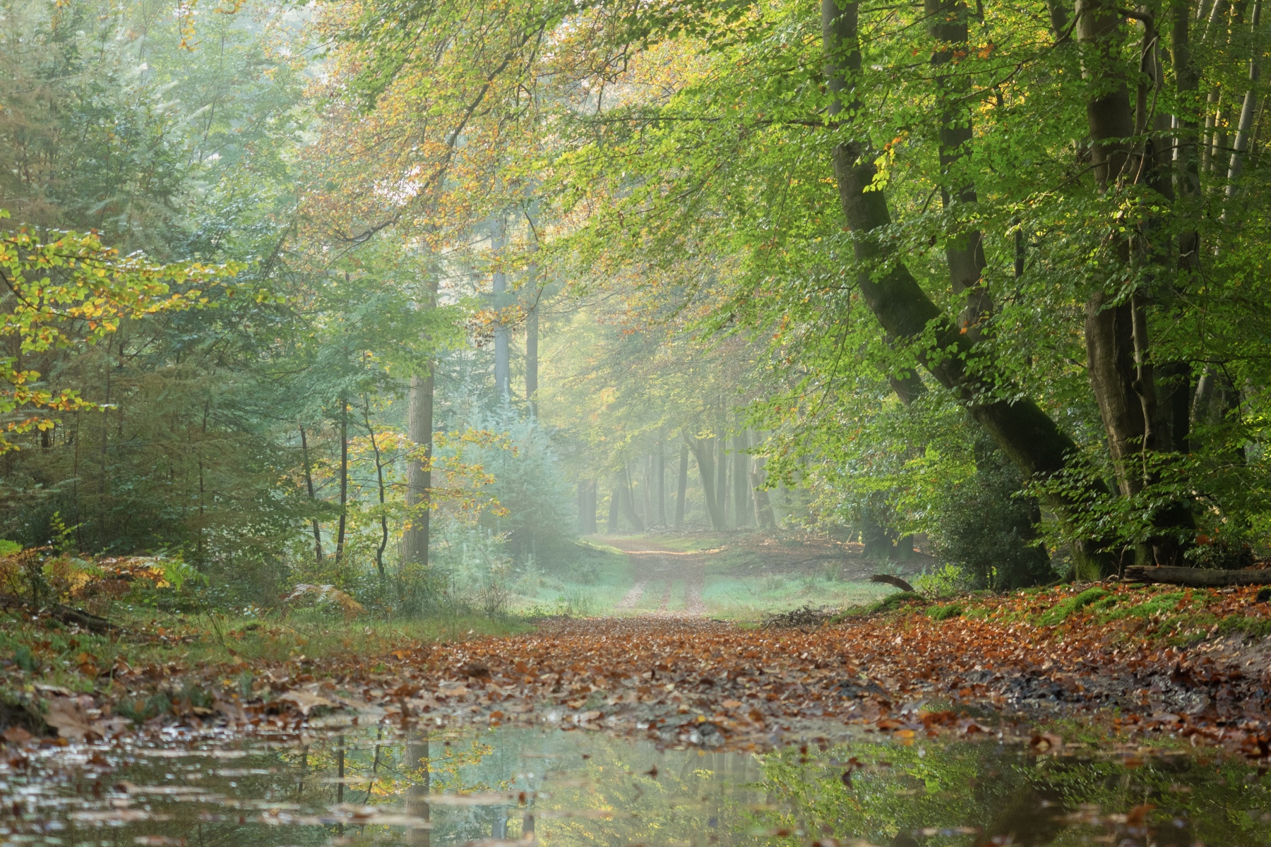 8A473320 24AA 45C8 BBB2 6F616666A30F