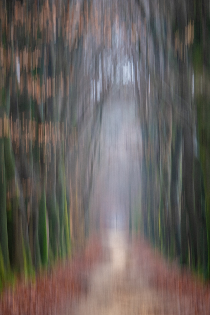 90CC5E12 B546 45BA A04E 9321E81CC721