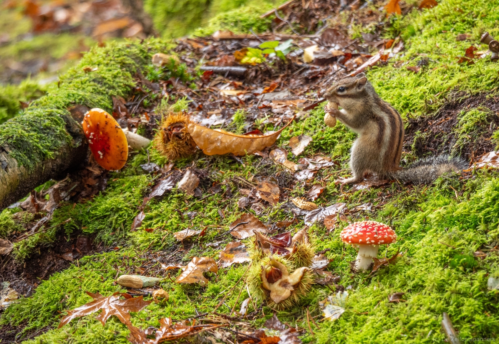 982432DC E8B7 4575 B6AE E32E165EFC3A