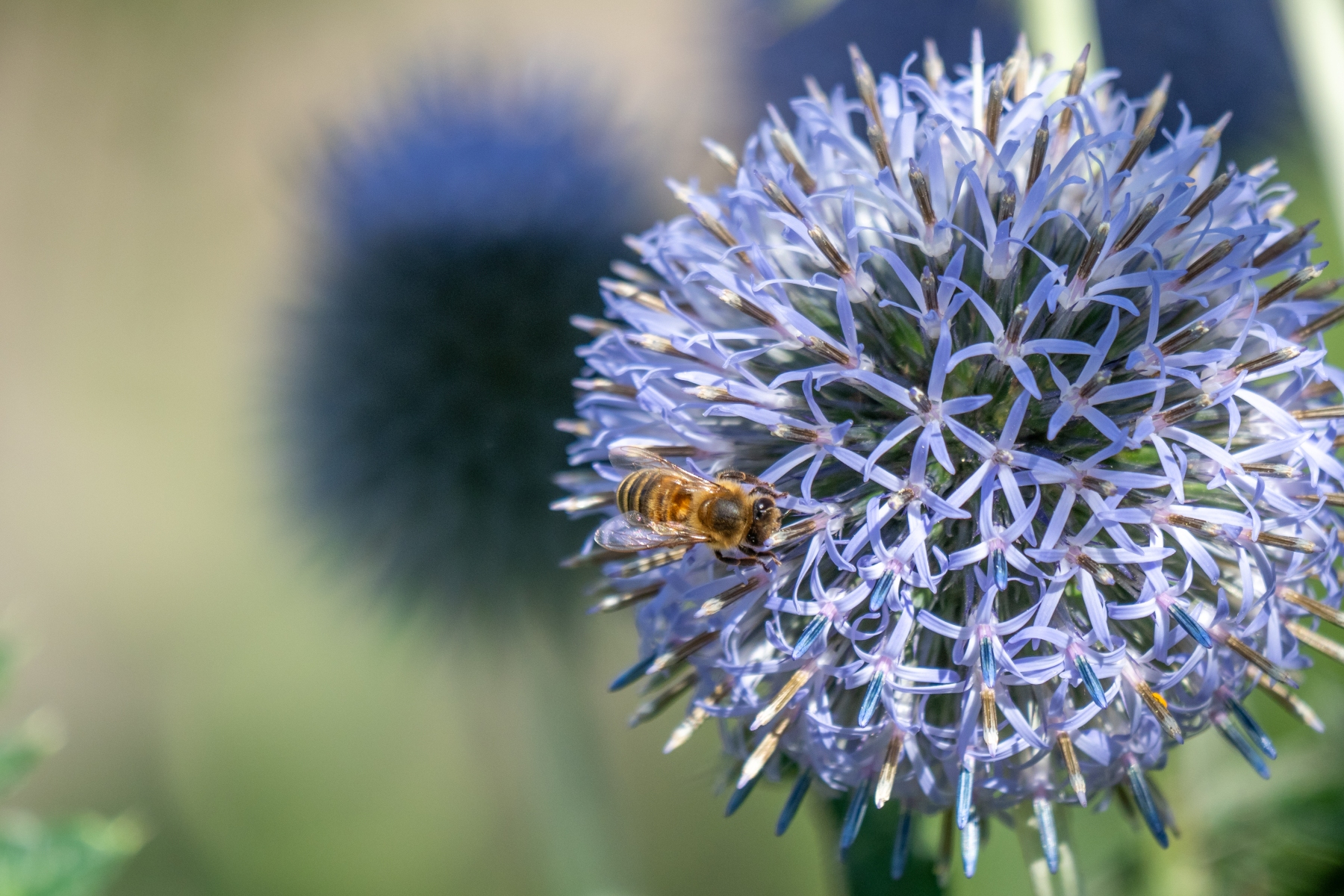 9E9EF4DB E8F2 42AC 9698 1F689DB0B83B