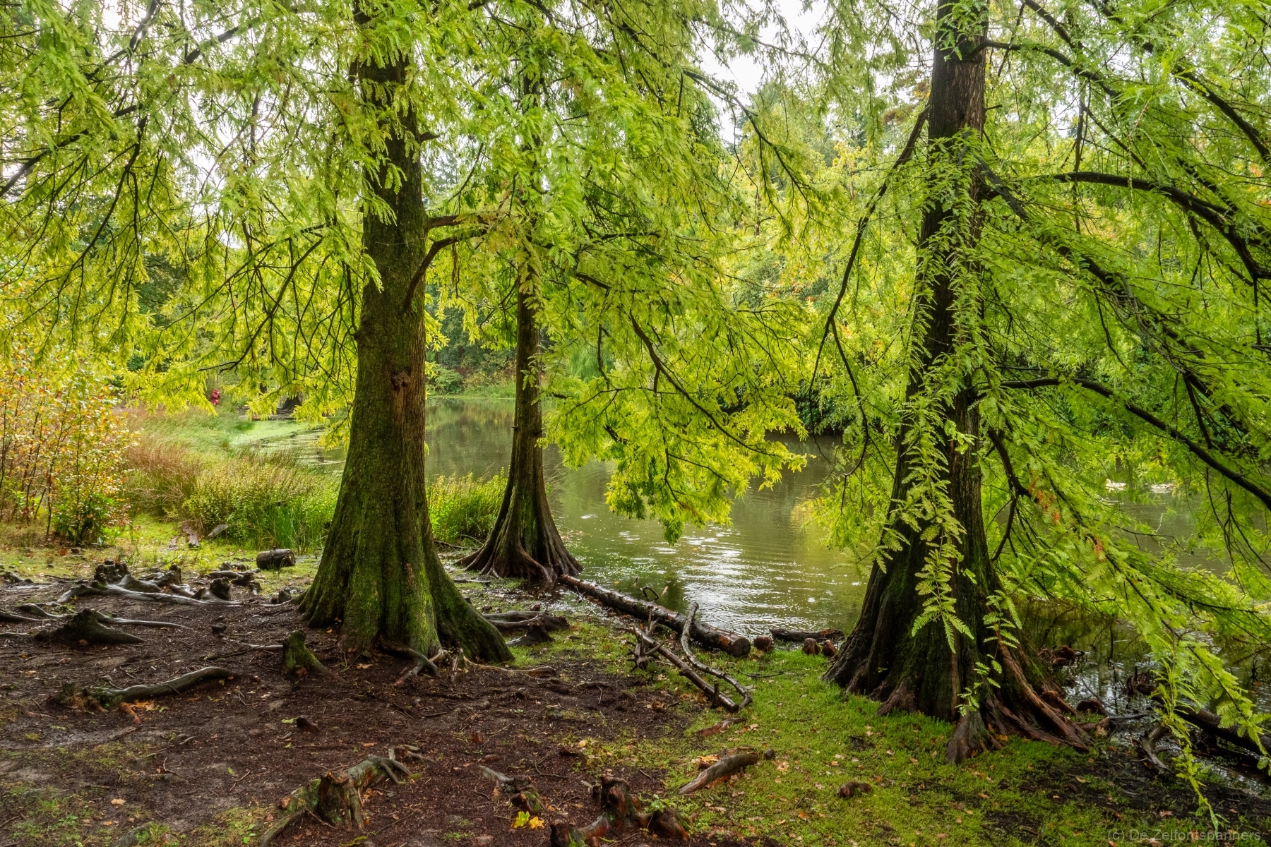 C3812FAE 1681 4397 9C2E EC269717D8CD