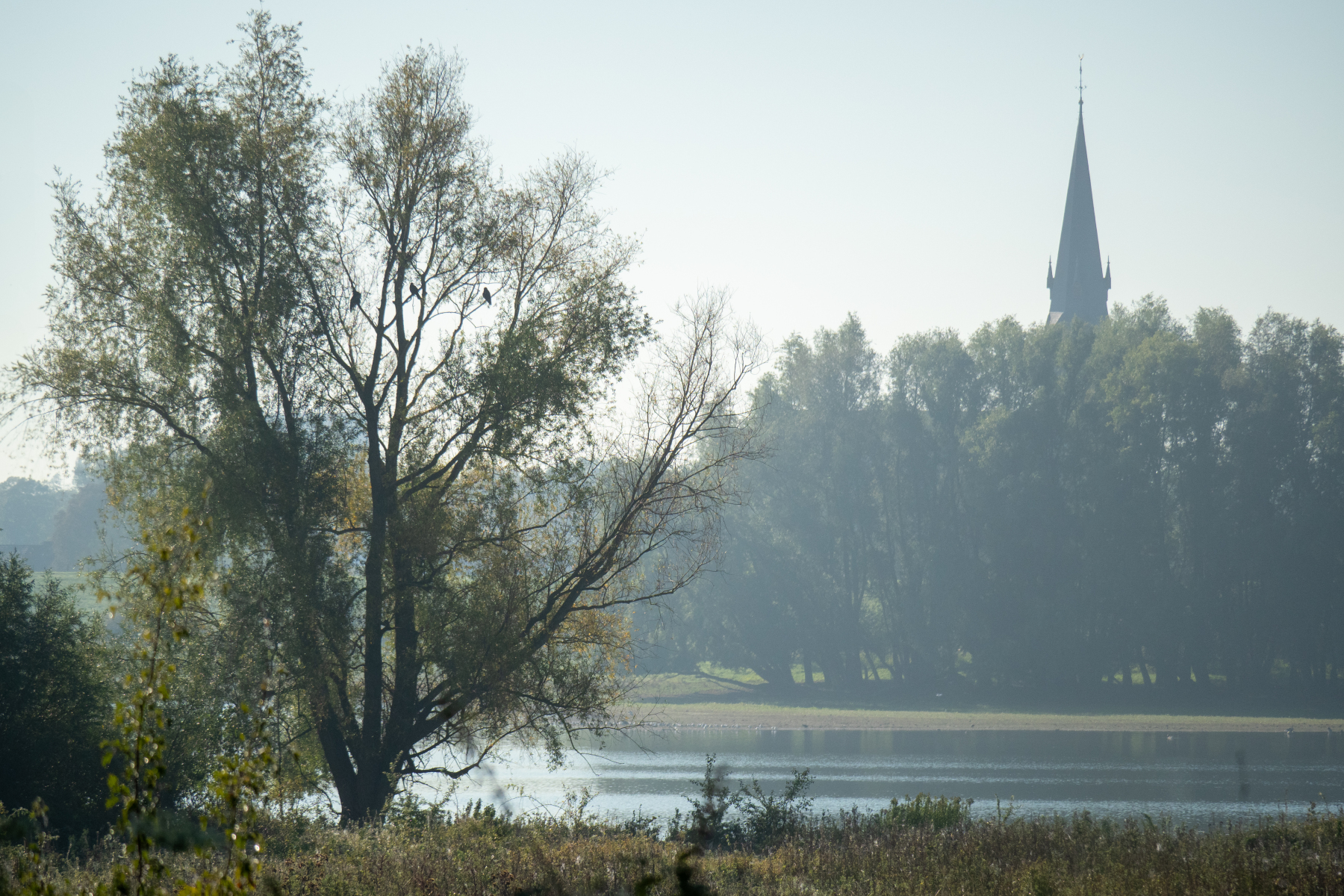 C5A10B96 0D11 4A46 8FD2 136F8219AE52