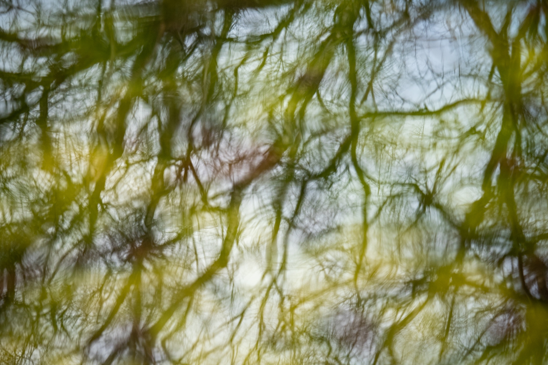 C9BCA8C3 F3A9 451F AF3D 07DE523867B4