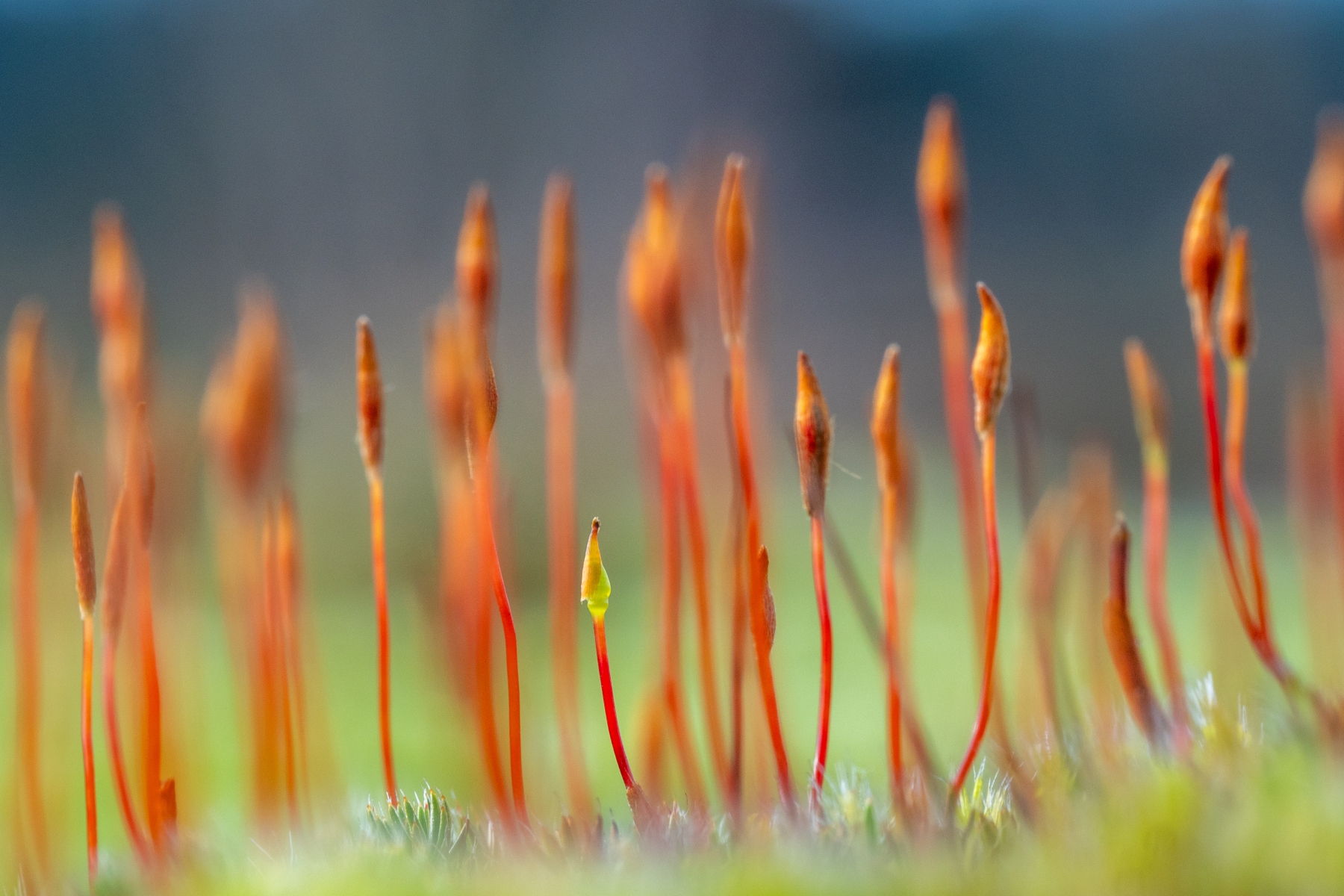 D5844BCC 18AA 4E32 AF46 B2769BBEADEF