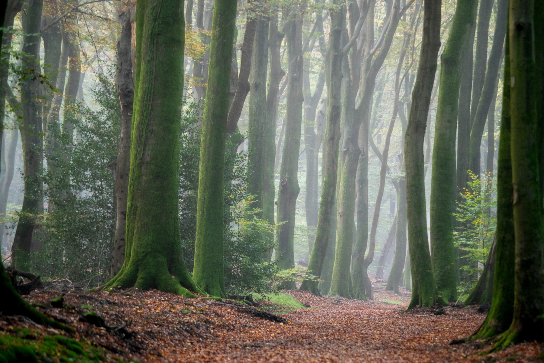 E990F783 6B0C 48B5 BF6E 5C7C7C5FCD6B